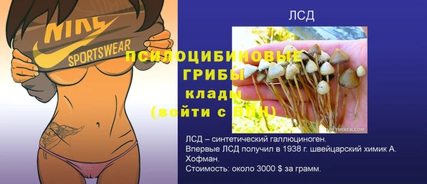 дурь Белоозёрский
