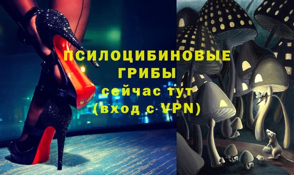 дурь Белоозёрский