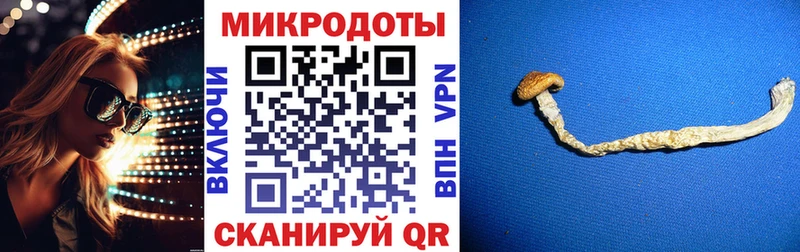 blacksprut ссылки  Киреевск  Галлюциногенные грибы Psilocybine cubensis 