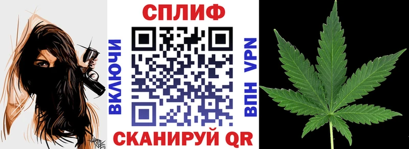 Шишки марихуана MAZAR  где купить   Киреевск 